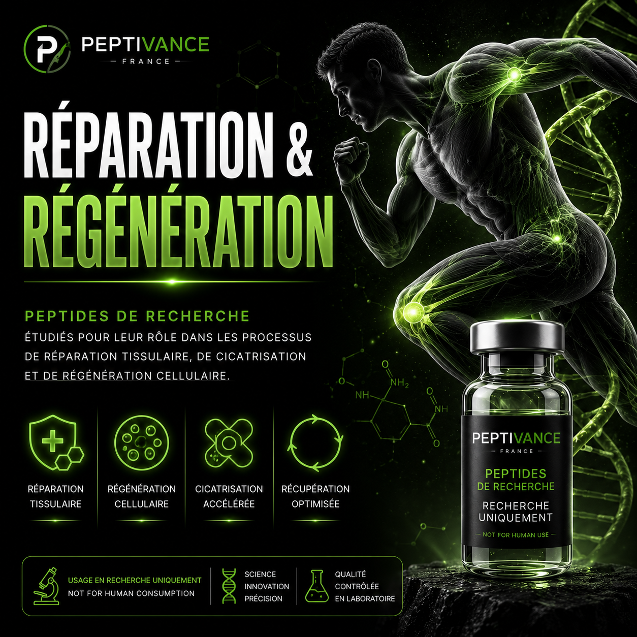 💪 Réparation & Régénération